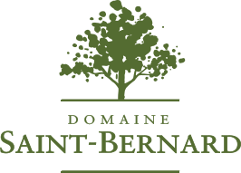Le Domaine Saint-Bernard vous propose 1500 acres de nature protégée et une foule d’activités au cœur de Mont-Tremblant dans les Laurentides.