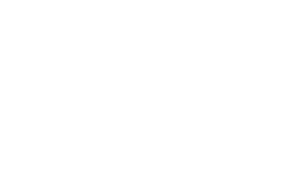 logo-domaine-astronomie-sb-blanc logo-domaine-astronomie-sb-blanc